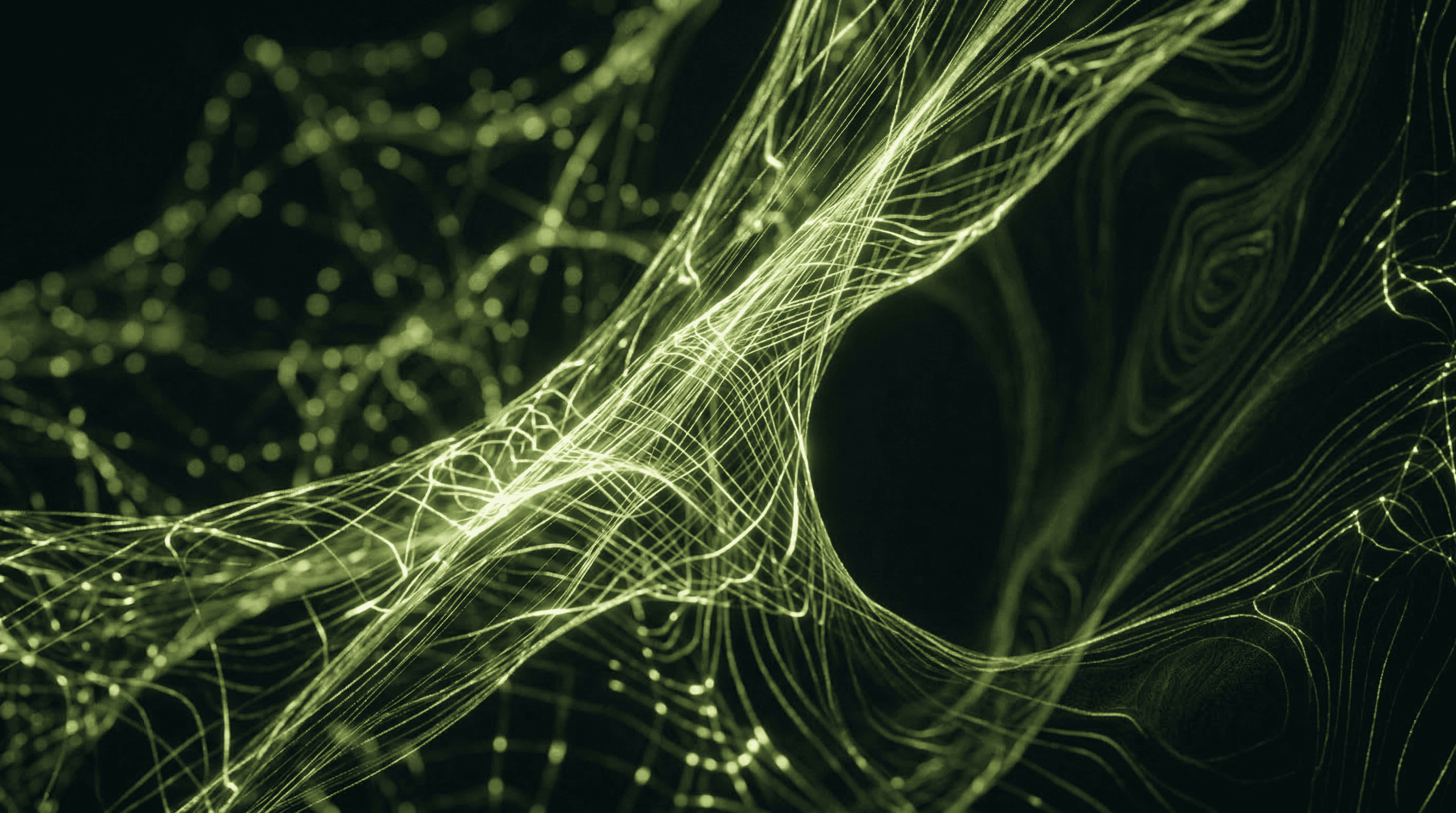 A brane string — the physics concept behind the BraneBox name